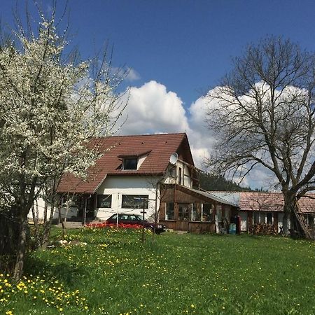 Karacsony Guest House Lunca de Sus Esterno foto