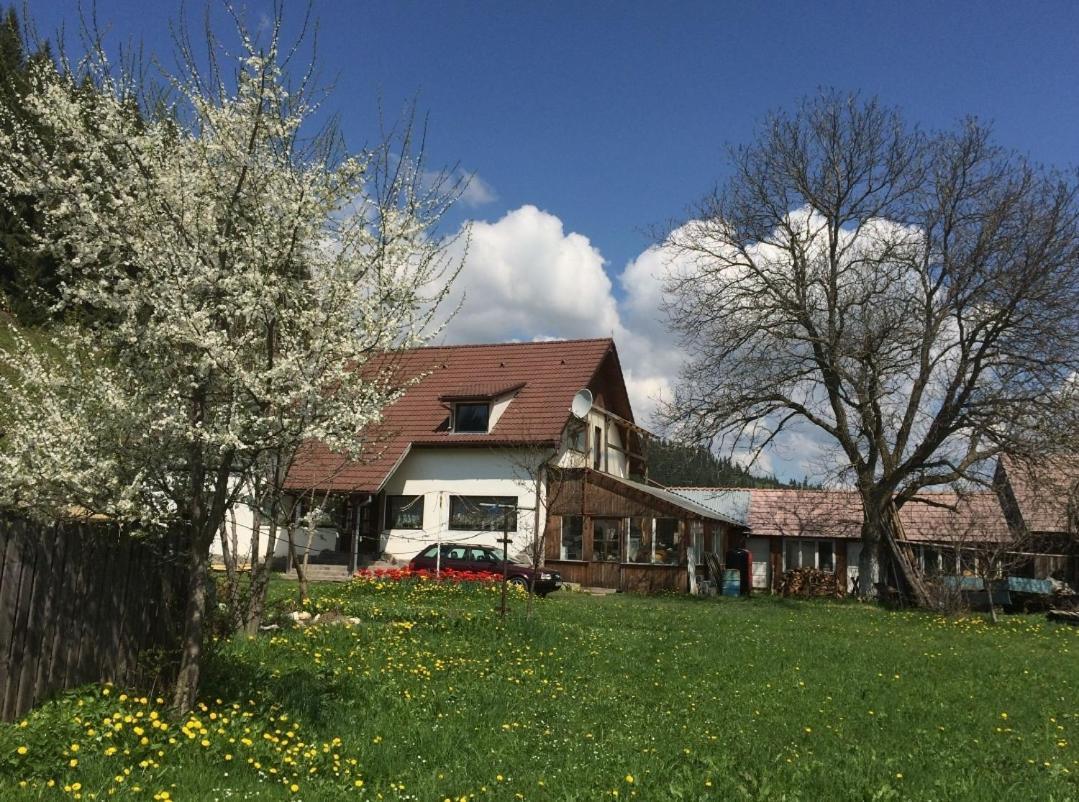 Karacsony Guest House Lunca de Sus Esterno foto